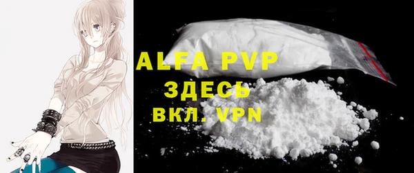 индика Бежецк