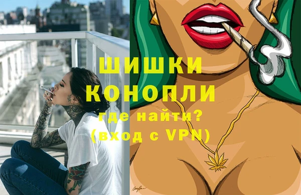 индика Бежецк