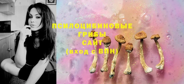винт Новодвинск