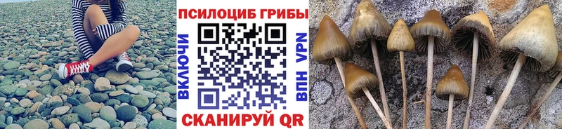Псилоцибиновые грибы ЛСД  Нововоронеж 
