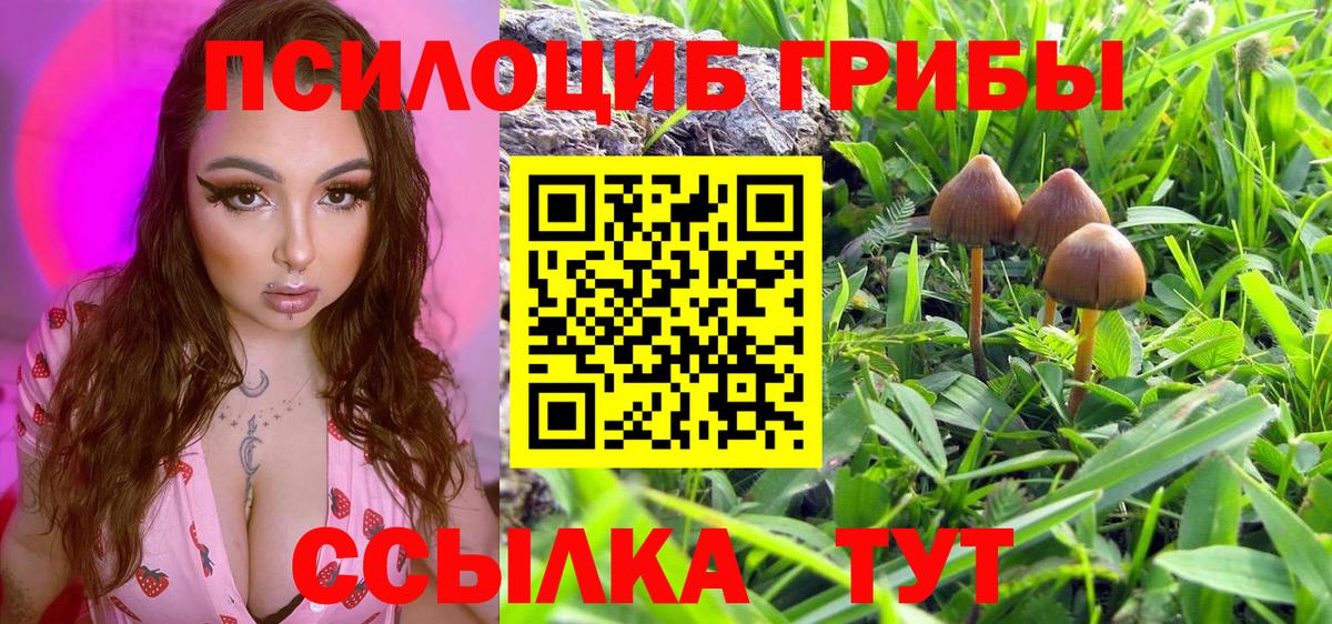 Галлюциногенные грибы Cubensis  Нововоронеж  Псилоцибиновые грибы прущие грибы 