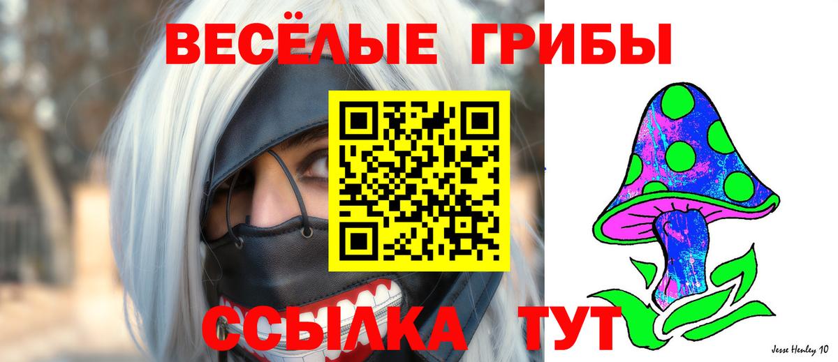 Галлюциногенные грибы Cubensis Нововоронеж