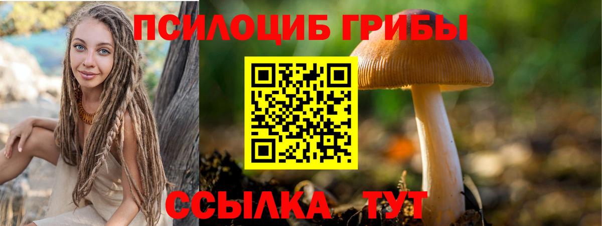 Галлюциногенные грибы Cubensis Нововоронеж