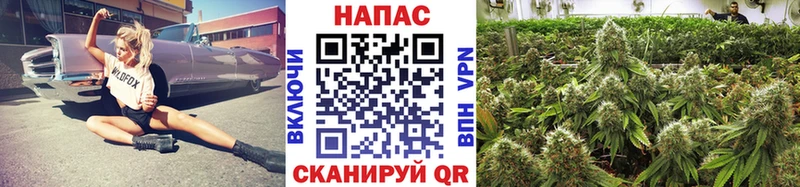 ссылка на мегу ссылки  Нововоронеж  Бошки марихуана SATIVA & INDICA 